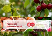 Primer Encuentro Frutícola Internacional 2025 Primer Encuentro Frutícola Internacional 2025, Araucanía, Temuco.
