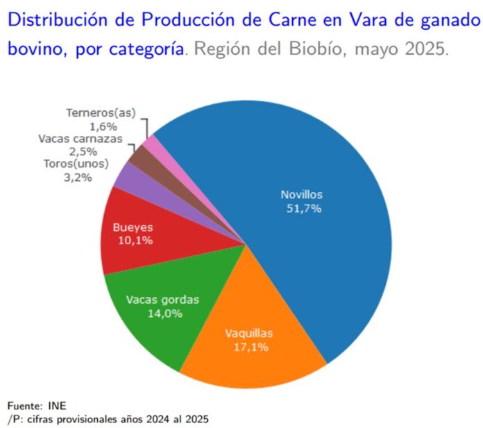 Producción de carne en vara de ganado bovino de la Región del Biobío presentó un incremento interanual de 2,1% en mayo de 2025