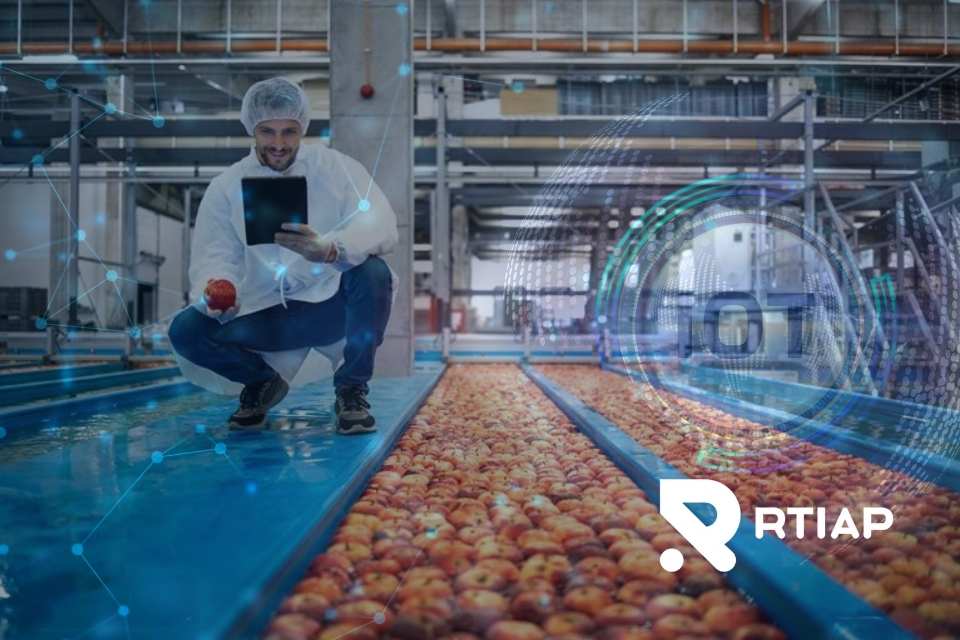 RTIAP Cadena de Frío en la Industria Frutícola Chilena