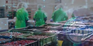 RTIAP: La Solución Tecnológica para los Desafíos de la Cadena de Frío en la Industria Frutícola Chilena