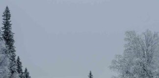 Recomendaciones para fortalecer la seguridad vial en condiciones climáticas adversas