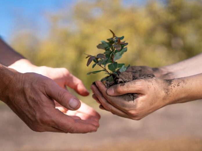 Rescate de la biodiversidad nativa Rescate de la biodiversidad nativa