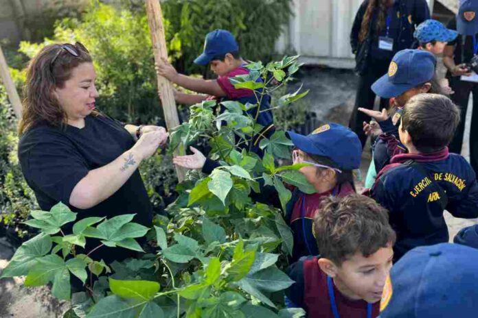 Reverdeciendo Arica: CONAF entregó más de 7 mil árboles y arbustos 