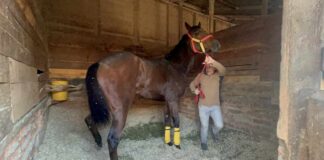 SAG Biobío se reunió con preparadores  y dueños de equinos en el Club Hípico de Concepción