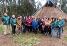 SAG realizó Trawün con guardadora/es de  semillas de papas ancestrales de la provincia de Arauco
