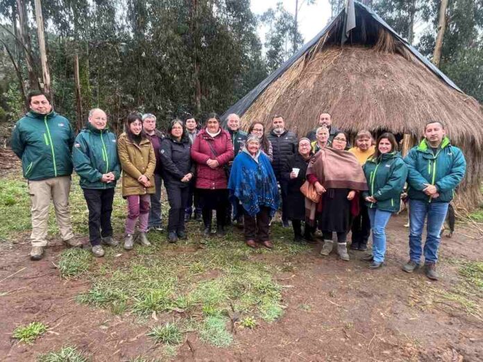 SAG realizó Trawün con guardadora/es de  semillas de papas ancestrales de la provincia de Arauco