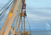 SAG refuerza su rol en la protección fitosanitaria forestal tras detección de insectos en madera de estiba proveniente del extranjero SAG refuerza su rol en la protección fitosanitaria forestal tras detección de insectos en madera de estiba proveniente del extranjero