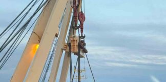 SAG refuerza su rol en la protección fitosanitaria forestal tras detección de insectos en madera de estiba proveniente del extranjero