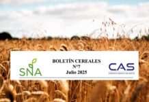 SNA | Boletín Cereales N° 7, Consorcio Agrícola del Sur – CAS SNA | Boletín Cereales N° 7, Consorcio Agrícola del Sur CAS