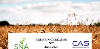SNA | Boletín Cereales N° 7, Consorcio Agrícola del Sur CAS