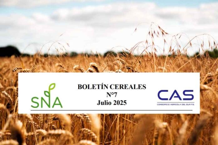 SNA | Boletín Cereales N° 7, Consorcio Agrícola del Sur CAS SNA | Boletín Cereales N° 7, Consorcio Agrícola del Sur CAS