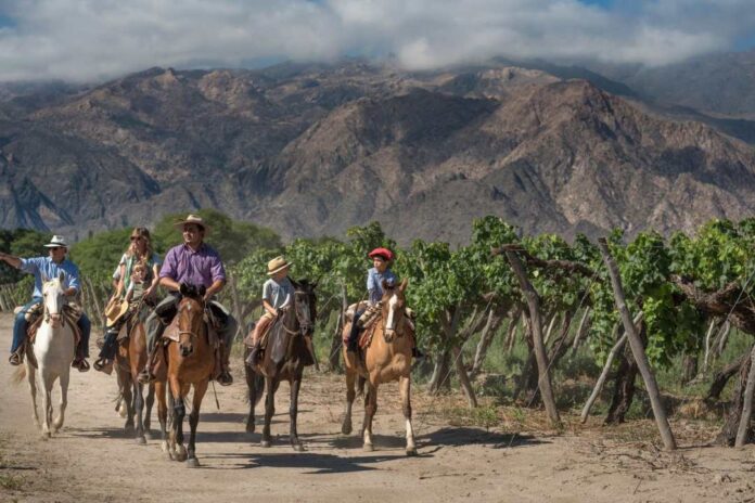 Salta naturaleza, cultura, vinos y sabores para descubrir Salta naturaleza, cultura, vinos y sabores para descubrir