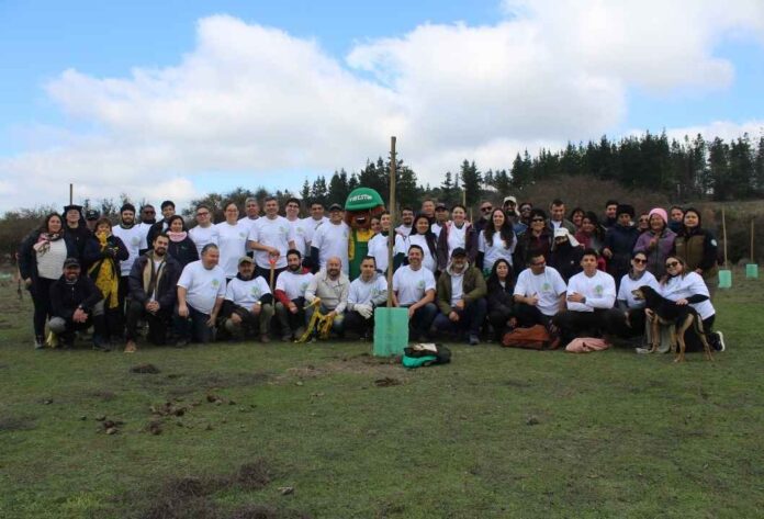 Turbus y Conaf reforestan sector de Reserva Nacional Lago Peñuelas afectado por megaincendio del 2024 Turbus y Conaf reforestan sector de Reserva Nacional Lago Peñuelas afectado por megaincendio del 2024