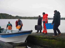 UCN impulsa acuicultura sostenible a través de monitoreo ambiental en La Región de Los Lagos