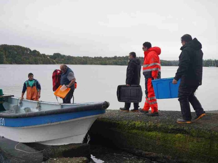 UCN impulsa acuicultura sostenible a través de monitoreo ambiental en La Región de Los Lagos
