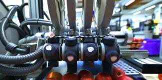 industria hortofrutícola, industria hortofrutícola, Sinclair