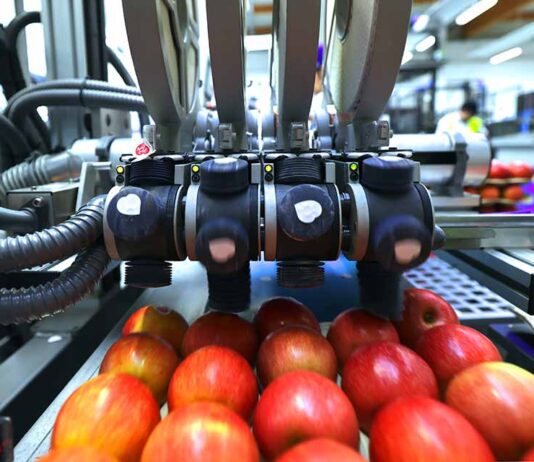 industria hortofrutícola, industria hortofrutícola, Sinclair