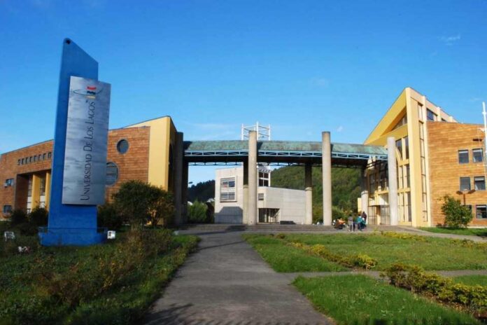 Universidad de Los Lagos se hace parte de importantes investigaciones acerca de la diversidad genética y manejo sostenible del jurel en Chile