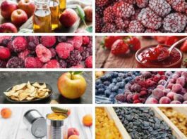 Valor de las exportaciones de la agroindustria representada por Chilealimentos crece 33% durante el primer semestre