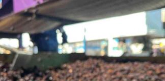 La cereza deshidratada busca abrirse camino en Chile: una alternativa para reducir pérdidas y diversificar el mercado