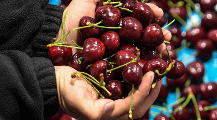 China: Un destino estratégico para entender el presente y futuro de la fruticultura chilena