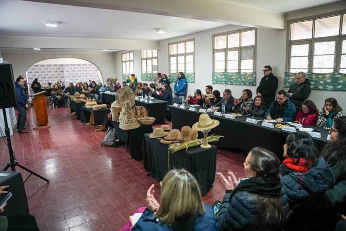 CONAF colabora en la articulación interinstitucional para el manejo sustentable de fibras vegetales en la artesanía tradicional CONAF colabora en la articulación interinstitucional para el manejo sustentable de fibras vegetales en la artesanía tradicional