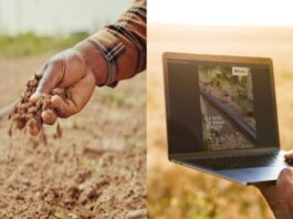 Riego por goteo: 9 prácticas clave para el total éxito Riego por goteo: 9 prácticas clave para el total éxito