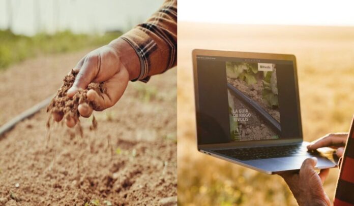 moringa-5-1024x597 Riego por goteo: 9 prácticas clave para el total éxito