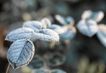 Proyecciones de invierno para Chile: lluvias cortas e intensas seguidas de largos periodos de frío extremo