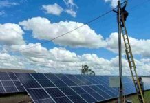 ¿Qué tipo de sistema solar conviene más para tu empresa agrícola? On-Grid vs. Off-Grid