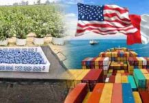 ¿Quién paga realmente los aranceles? El caso de los productos agrícolas exportados a EE.UU.