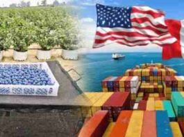 ¿Quién paga realmente los aranceles? El caso de los productos agrícolas exportados a EE.UU.