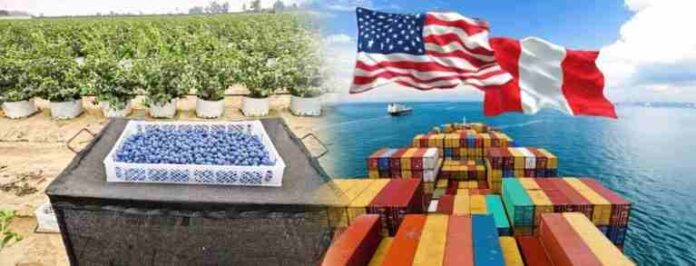 ¿Quién paga realmente los aranceles_ El caso de los productos agrícolas exportados a EE.UU ¿Quién paga realmente los aranceles? El caso de los productos agrícolas exportados a EE.UU.