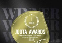 Aceite de oliva del Desierto de Atacama es reconocido como el mejor del hemisferio sur y compañía prepara su expansión al mercado europeo