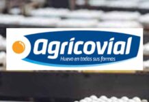 Agricovial en Espacio Food Service: innovación y calidad en huevos y ovoproductos para la industria alimentaria Agricovial en Espacio Food Service: innovación y calidad en huevos y ovoproductos para la industria alime