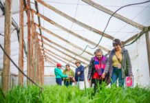 Agricultoras de la Región del Maule se capacitan en manejo agroecológico de suelos