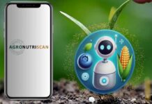 AgroNutriScan: el proyecto INIA que incorpora un asistente digital para optimizar la fertilización en maíz y arándanos AgroNutriScan: el proyecto INIA que incorpora un asistente digital para optimizar la fertilización en maíz y arándanos