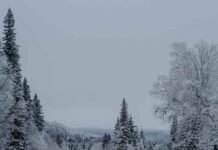 Ante el frente de mal tiempo: Recomendaciones para una conducción segura en carrteras Ante el frente de mal tiempo: Recomendaciones para una conducción segura en carrteras