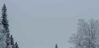 Ante el frente de mal tiempo: Recomendaciones para una conducción segura en carrteras