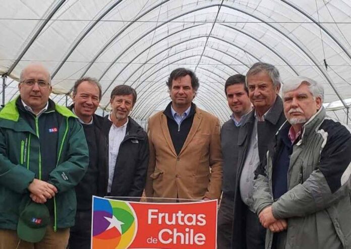 Arándanos: Se proyecta una temporada positiva pero con desafíos Arándanos: Se proyecta una temporada positiva pero con desafíos