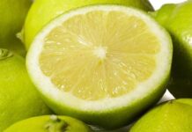 Benjamín Andes, la variedad chilena de limón que conquista mercados como Estados Unidos, Australia, España y Turqu