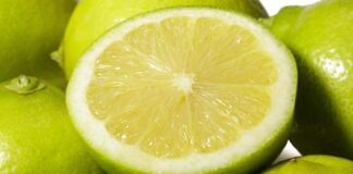 Benjamín Andes, la variedad chilena de limón que conquista mercados como Estados Unidos, Australia, España y Turqu