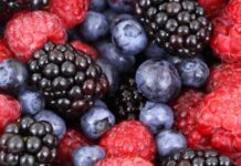Berries chilenos y su potencial científico para enfrentar el cáncer colorrectal