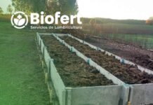 Biofert y su CEO, Roberto Verdejo: La Lombricultura Intensiva, aporta nutrientes y bioestimulantes benéficos en la agricultura y baja los costos en fertilizantes
