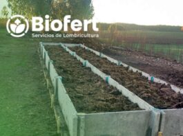Biofert y su CEO, Roberto Verdejo: La Lombricultura Intensiva, aporta nutrientes y bioestimulantes benéficos en la agricultura y baja los costos en fertilizantes