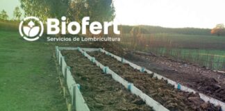 Biofert y su CEO, Roberto Verdejo: La Lombricultura Intensiva, aporta nutrientes y bioestimulantes benéficos en la agricultura y baja los costos en fertilizantes