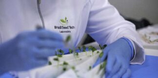 Buntech Agro amplía su presencia en América del Sur con la adquisición de cuatro empresas de tecnología de semillas