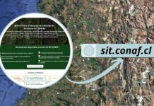 CONAF incorpora en su plataforma información sobre especies en categoría de conservación CONAF incorpora en su plataforma información sobre especies en categoría de conservación