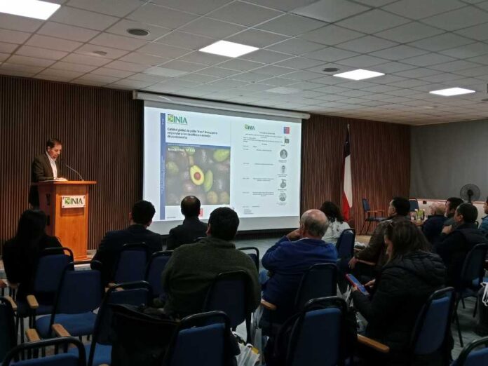 Calidad global de palta Hass INIA presenta nuevo boletín técnico para enfrentar los desafíos de postcosecha Calidad global de palta Hass: INIA presenta nuevo boletín técnico para enfrentar los desafíos de postcosecha