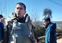 Carabineros y SAG detienen a cazador furtivo de especie protegida Carabineros y SAG detienen a cazador furtivo de especie protegida